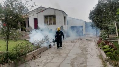 Photo of CDC Perú reporta brote de dengue en Chaclacayo