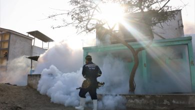 Photo of CDC Perú emite alerta epidemiológica por epidemia de dengue en el país