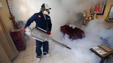 Photo of CDC Perú emite Alerta Epidemiológica sobre epidemia de dengue: ante la extensión a nuevos distritos en el Perú