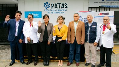 Photo of CDC Perú lanzó piloto de vigilancia de rabia urbana con médicos veterinarios del Callao