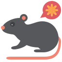 Rata infectada